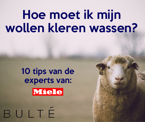 Lees meer over het artikel 10 tips om wol te wassen.